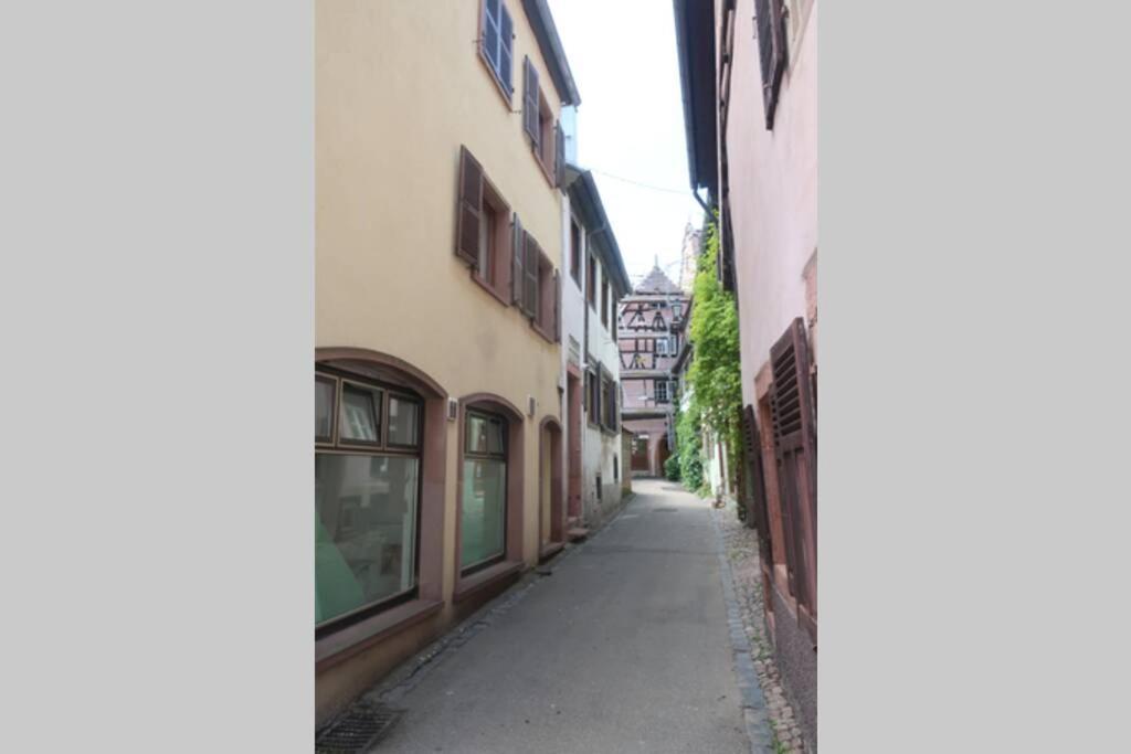 chey MYBAM, agréable maison au centre de Sélestat Villa Esterno foto